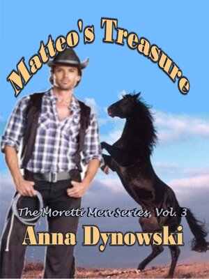 cover image of Matteo's Treasure